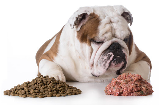 Κριτήρια διαμόρφωσης μιας ισορροπημένης διατροφής σκύλων 